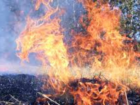 Жителів Київської області попередили про високу пожежну небезпеку