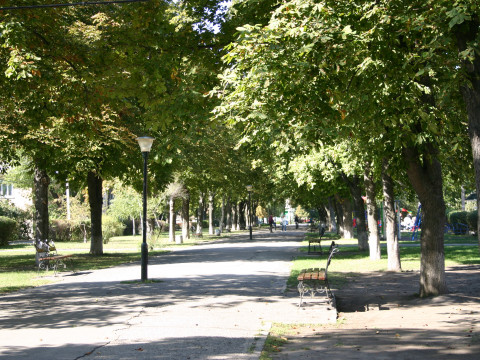 У Переяславі облаштують нові парки та сквери