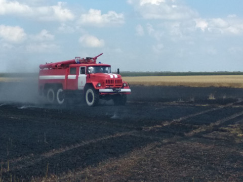 На Київщині згоріло ціле поле пшениці (ФОТО)