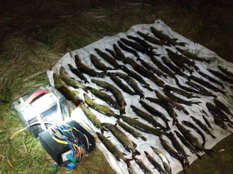У Бориспільському районі затримали браконьєрів з "електровудочками" (ФОТО)