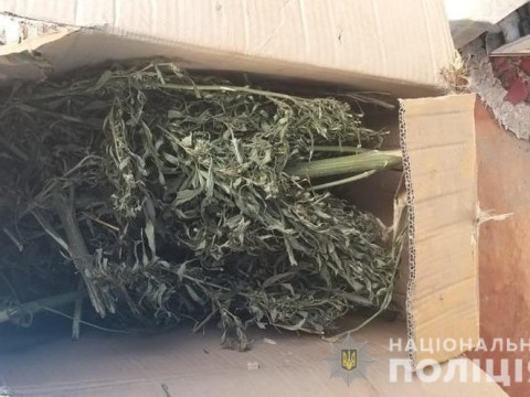 У Білій Церкві затриманий поліцією автомобіліст виявився наркоманом (ФОТО)