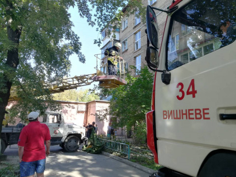 Рятівники допомогли киці з Вишневого