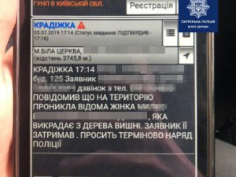Поліція Білої Церкви поїхала затримувати викрадачку вишень 