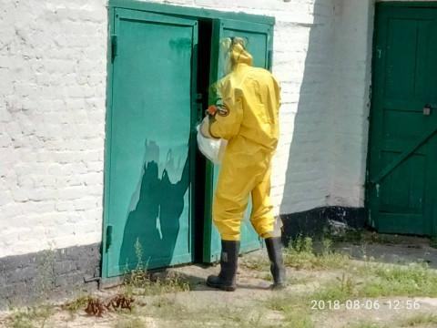 Рятувальники ліквідували гніздо шершнів у дитячому садочку