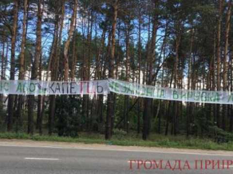 У Гостомелі продовжується незаконна вирубка лісу: поліція вилучила 8 бензопил (ФОТО, ВІДЕО)