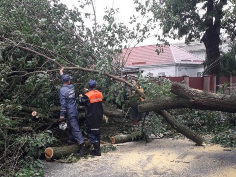 Через негоду у Борисполі повалено багато дерев та пошкоджено лінії електропередач (ФОТО)
