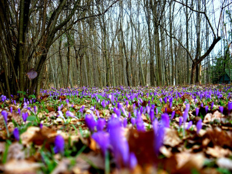 Погода на Київщині та у столиці 23-го березня