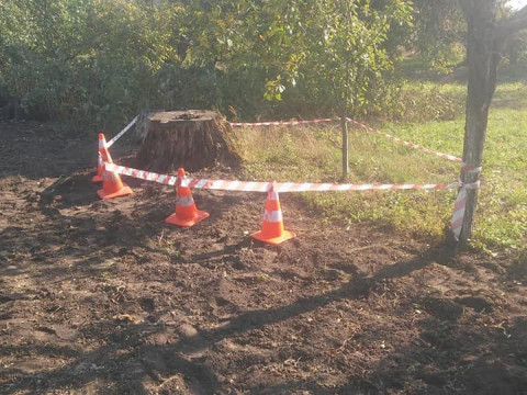 У Згурівському районі жителька села знайшла поблизу будинку мінометний снаряд (ФОТО)