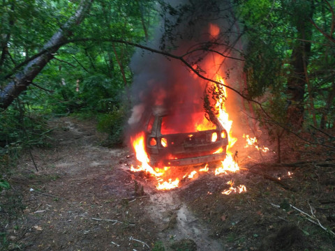Під Києвом в лісі згорів автомобіль 