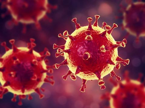 Вірус корони: чого насамперед боятися під час пандемії