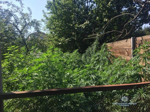 Під Києвом рецидивіст зайнявся аграрним бізнесом (ФОТО)