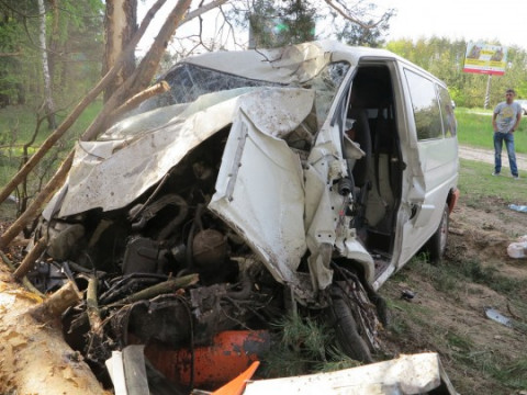 Смертельна ДТП на Новоірпінській трасі: "шалений" Transporter зупинила сосна (ФОТО)