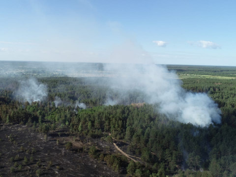 У Чорнобилі досі горить ліс (ФОТО)