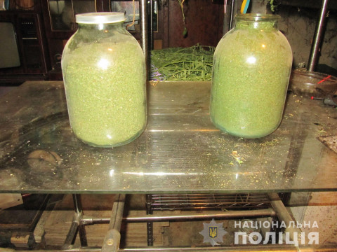 У Броварах чоловік вирощував коноплю разом із помідорами (ФОТО)