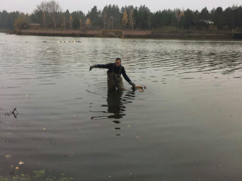 У Вишгородському районі втопився чоловік 