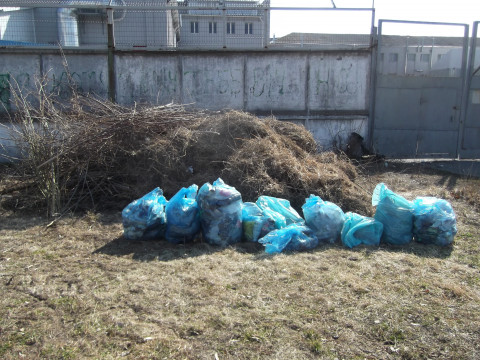 У Переяславі працівники міськради долучилися до міжнародного сміттєвого челенджу (ФОТО)