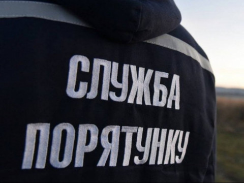 У Броварах кішка більше тижня просиділа у вентиляційній шахті (ВІДЕО)