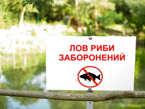 У Київській ОДА не рекомендують ловити рибу у річці Рось мінімум 10 днів