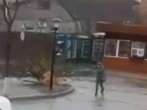 В Ірпені за метр від пішохода впало дерево (ВІДЕО)