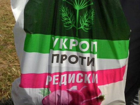 З чим політичні партії заходять на місцеві вибори: залишки УКРОПу