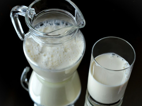 На Білоцерківщині планують запустити цех по переробці молока 