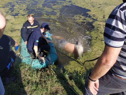 У Таращанському районі потонув літній чоловік