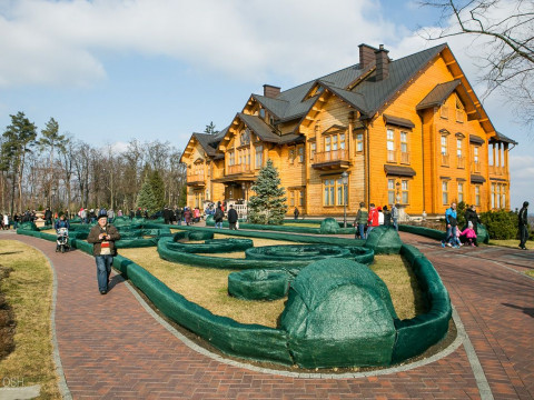Скандал із "Межигір’ям": маєток президента-втікача ніяк не можуть повернути державі (ВІДЕО)  