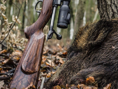 На Київщині у перші дні сезону полювання екоінспектори зафіксували порушення