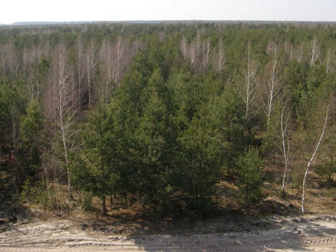На Фастівщині відбулося рейдерське захоплення земель заповідника (ФОТО)