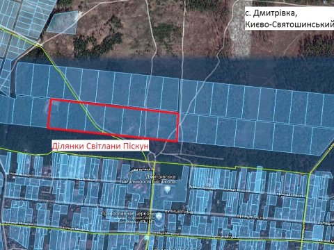 Землі дружини ексгенпрокурора Піскуна на Київщині повернулись у державу