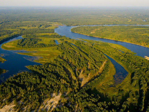 У Чорнобилі науковці проводять дослідження живих організмів у водоймах