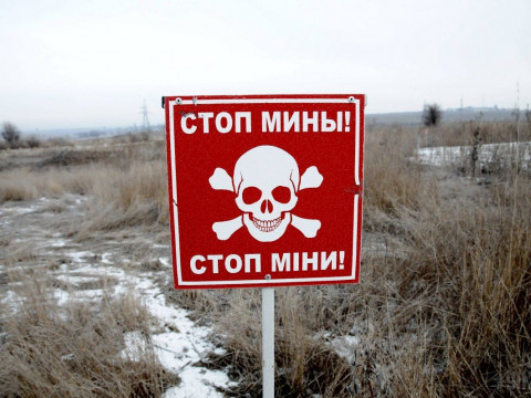 У Бородянському районі в лісовому масиві знайшли небезпечний предмет 