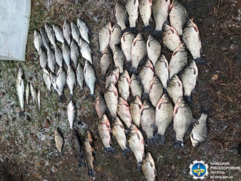 На Київщині за 15 днів браконьєри наловили більше ніж 300 кг риби