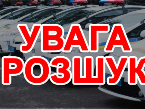 У Немішаєво біля озера зник студент коледжу (ФОТО)