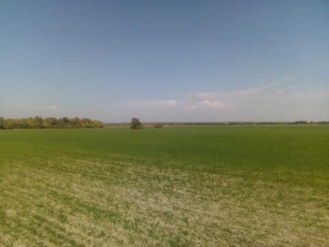 На Київщині державний реєстратор присвоїв собі земельну ділянку вартістю 1,6 млн грн 