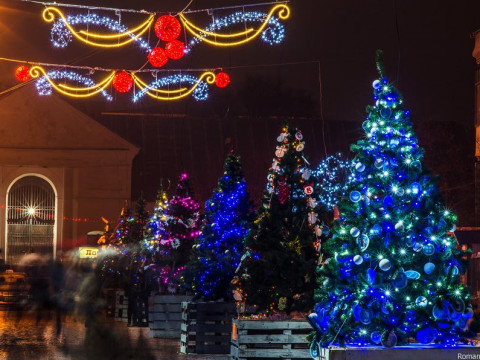 У фастівському парку планують створити "Алею ялинок" на новорічні свята