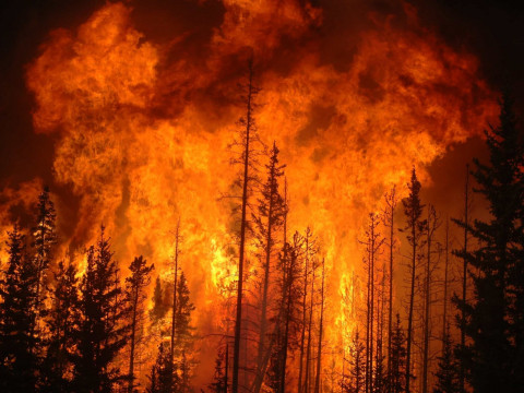 У Чорнобильській зоні за допомогою літаків гасять лісову пожежу 