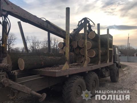 На Переяславщині поліція розслідує факт незаконної порубки лісу