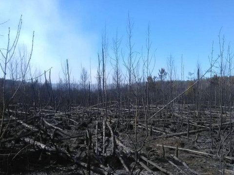 Рятувальники намагаються дістатися до найскладнішого осередку пожежі в Чорнобильській зоні