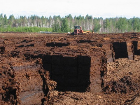 Підприємства із видобутку торфу на Київщині планують розпродати