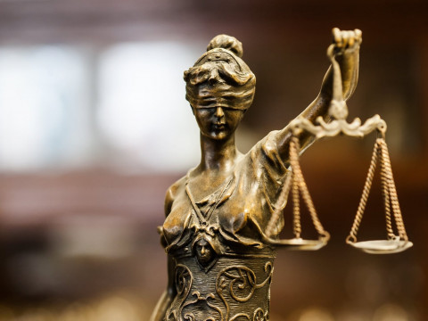 На Київщині повернули державі земельну ділянку вартістю 3 млн грн