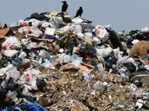 На Макарівщині з’явилося чергове стихійне сміттєзвалище