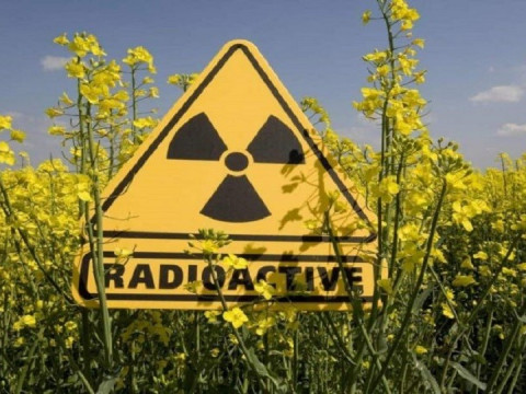 Екоактивісти зафіксували величезні сплески радіації біля Чорнобильської зони
