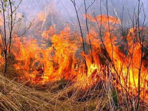 У Кагарлику вигадали дієвий спосіб боротьби із масовими пожежами