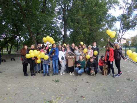 Все для тварин: у Броварах відкрили майданчик для вигулу собак (ФОТО)