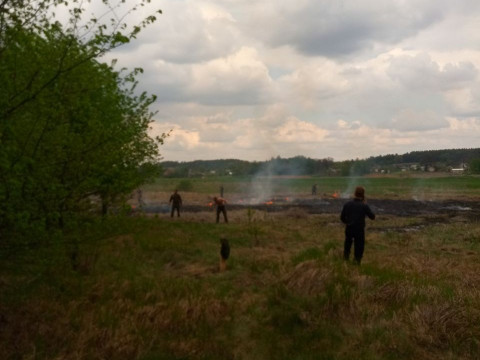 На Бориспільщині нацгвардійці палили сухостій (ФОТО, ВІДЕО)