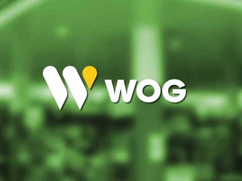 Автомобільні заправки на Київщині: як працює мережа "WOG"