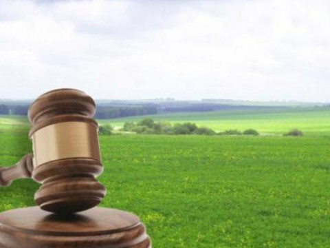 Кагарлицька прокуратура відсудила державну землю вартістю більше 14 млн грн