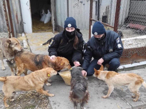 У Кагарлику поліцейські готували їжу для собак (ФОТО)