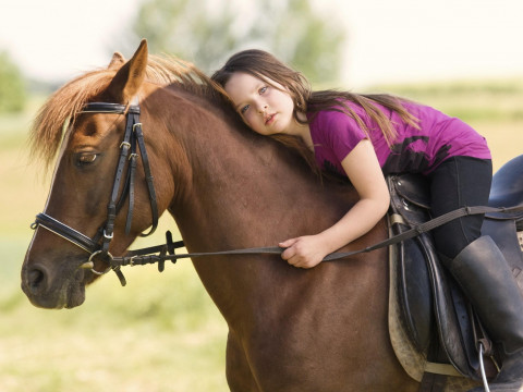У Броварському районі дітей із інвалідністю лікуватимуть коні